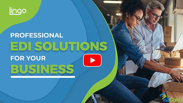 Professional EDI solutions for your business with Lingo, featuring a diverse team collaborating in a warehouse setting, emphasizing automation and efficiency in order processing.