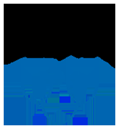 Mayo Clinic logo