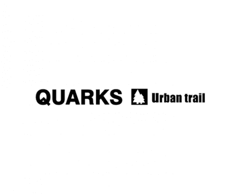 Quarks