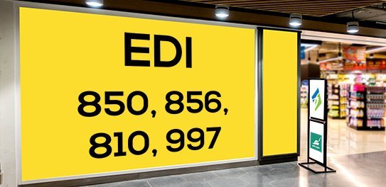 810 edi document