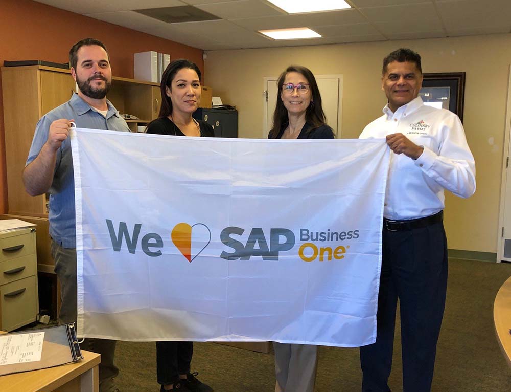 SAP Business One Sign