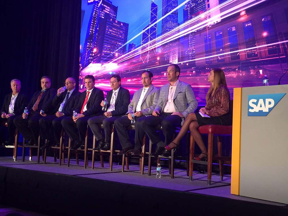SAP Business one Panel